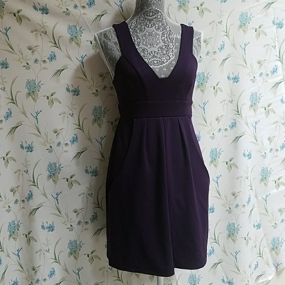 EUC Pockets!! Spring Indigo Dress🦋
